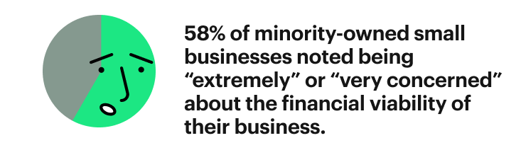 financial viability of minority-owned businesses